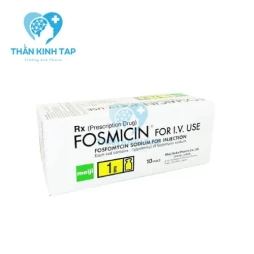 Fosmicin for I.V. Use 1g - Thuốc điều trị nhiễm khuẩn